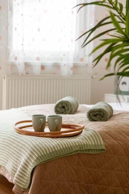 Family Lux Lounge In Voeroesmarty Street By Nw Apartmán *